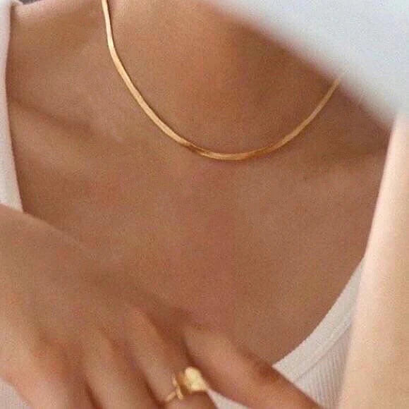 Sleek Snake Chain Necklace